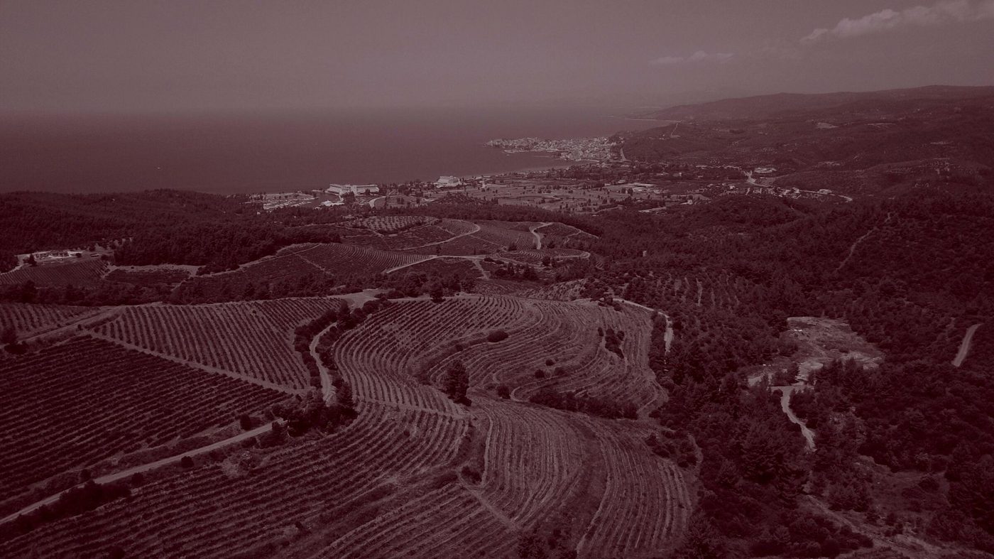 Porto Carras winery in Halkidiki