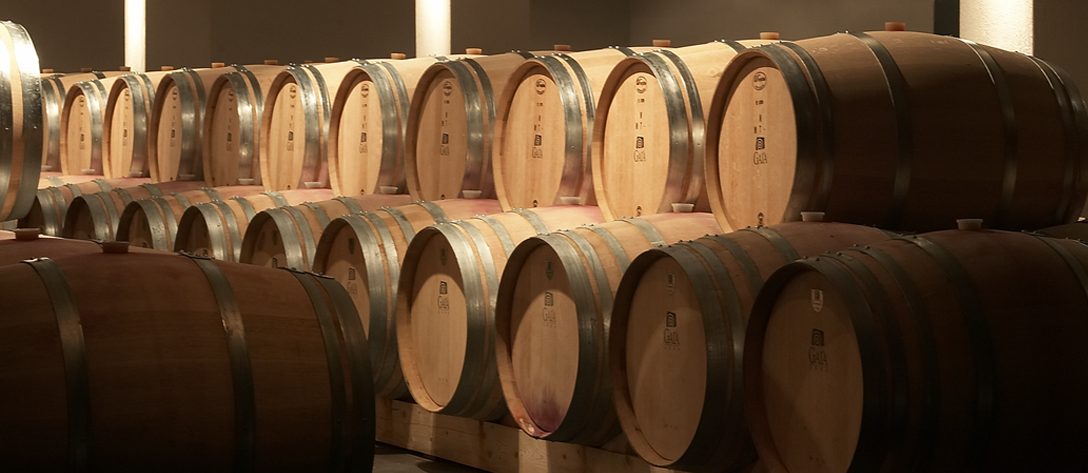 A high-altitude Nemea vineyard from Gaia Wines